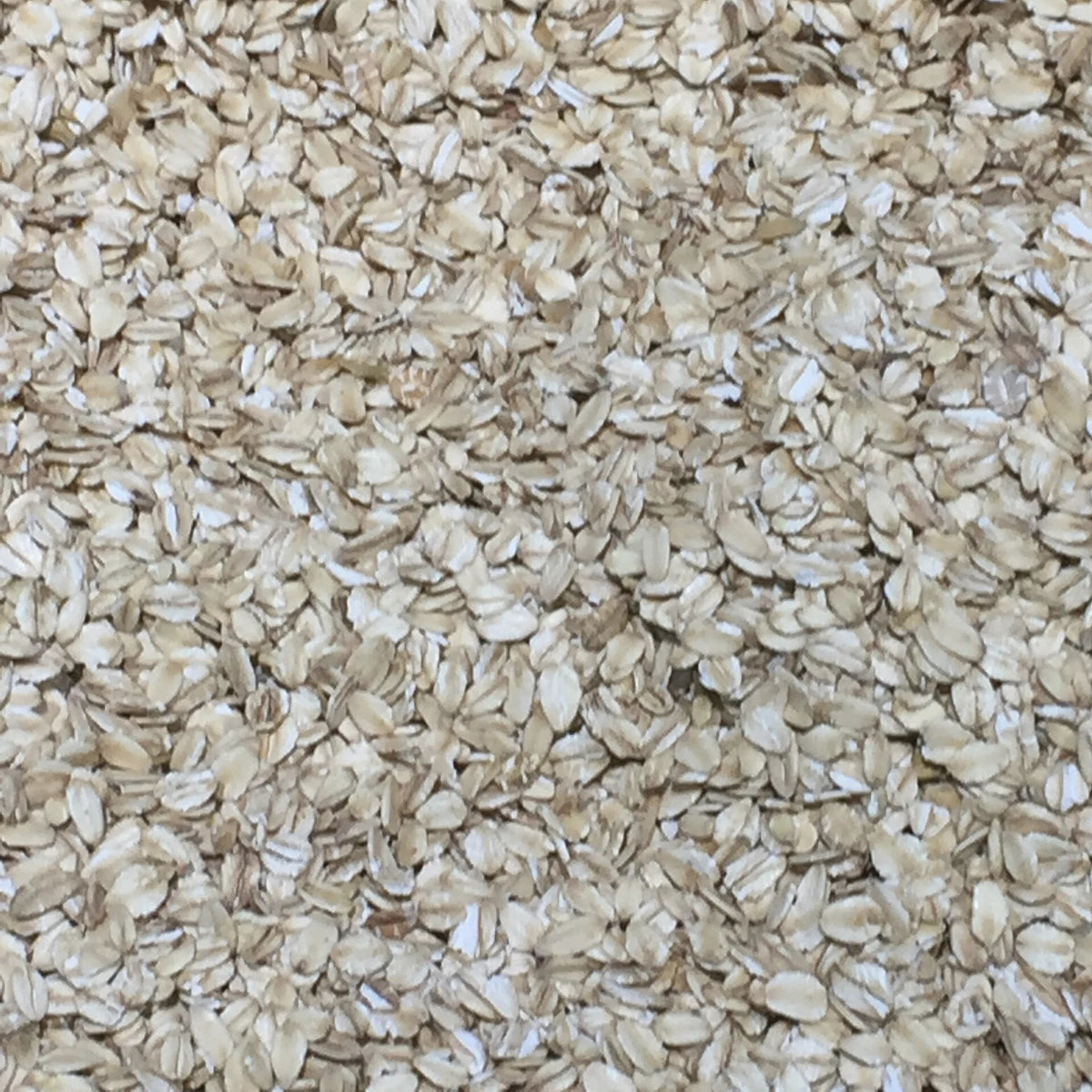 Rolled oat flakes, a natural source of beta-glucan, filling the frame