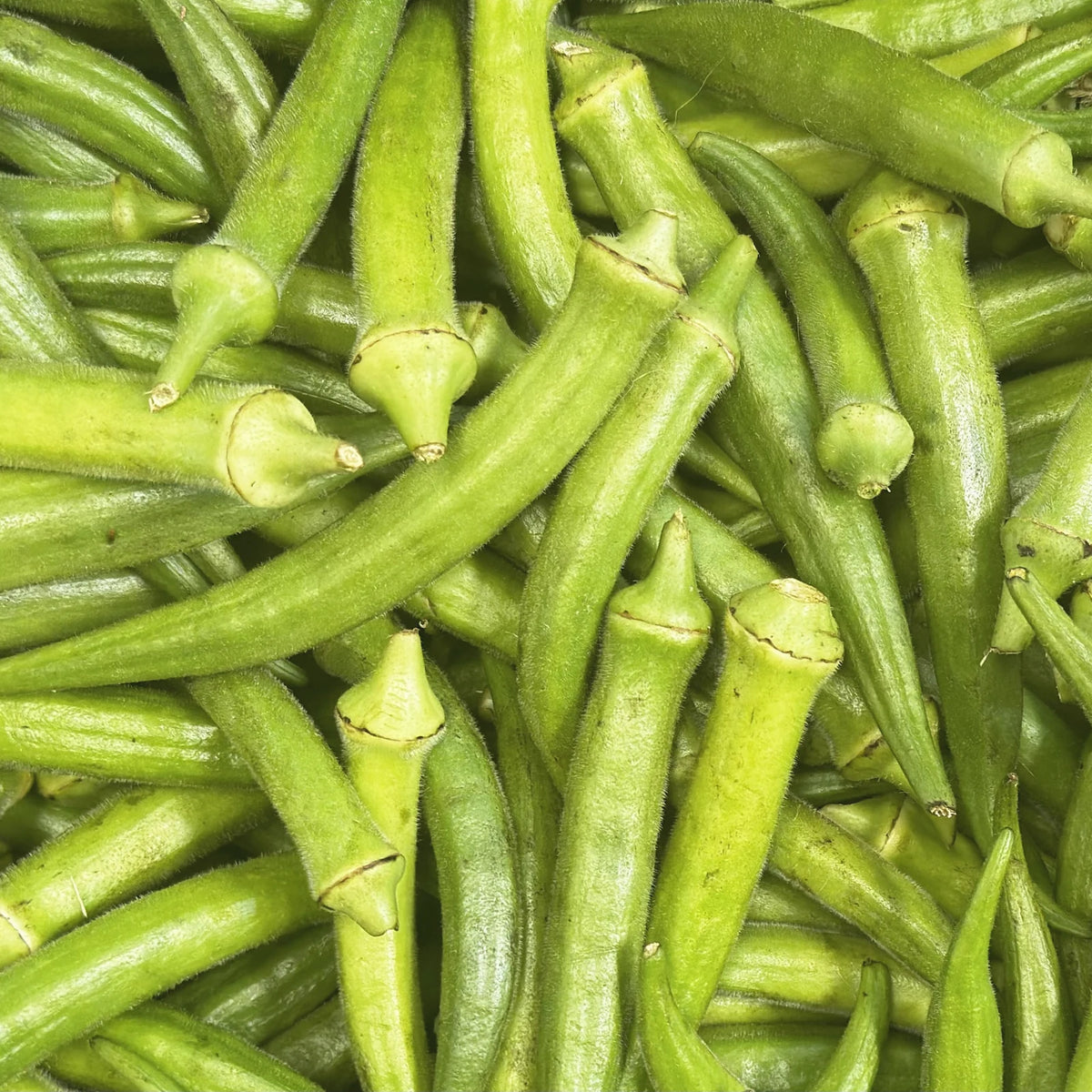 A pile of fresh green okra pods, one of the four plants in the MOISTURE TM B complex